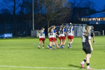 Bild 364 - wBJ Hamburger SV - Eimsbuettler TV : Ergebnis: 4:0